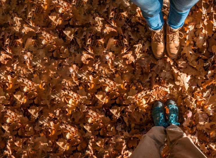 Wälder müssen klimaresilient werden, doch Konflikte zwischen Interessengruppen bremsen die Entwicklung. Forschungsergebnisse zeigen, wie Mediation helfen kann, Konflikte um den Wald der Zukunft zu lösen. Die Ergebnisse sind in einem Leitfaden und in einer KI-gestützten Dialoganwendung verfügbar.
